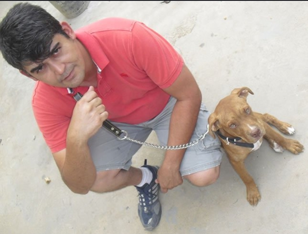 Entrenamiento canino